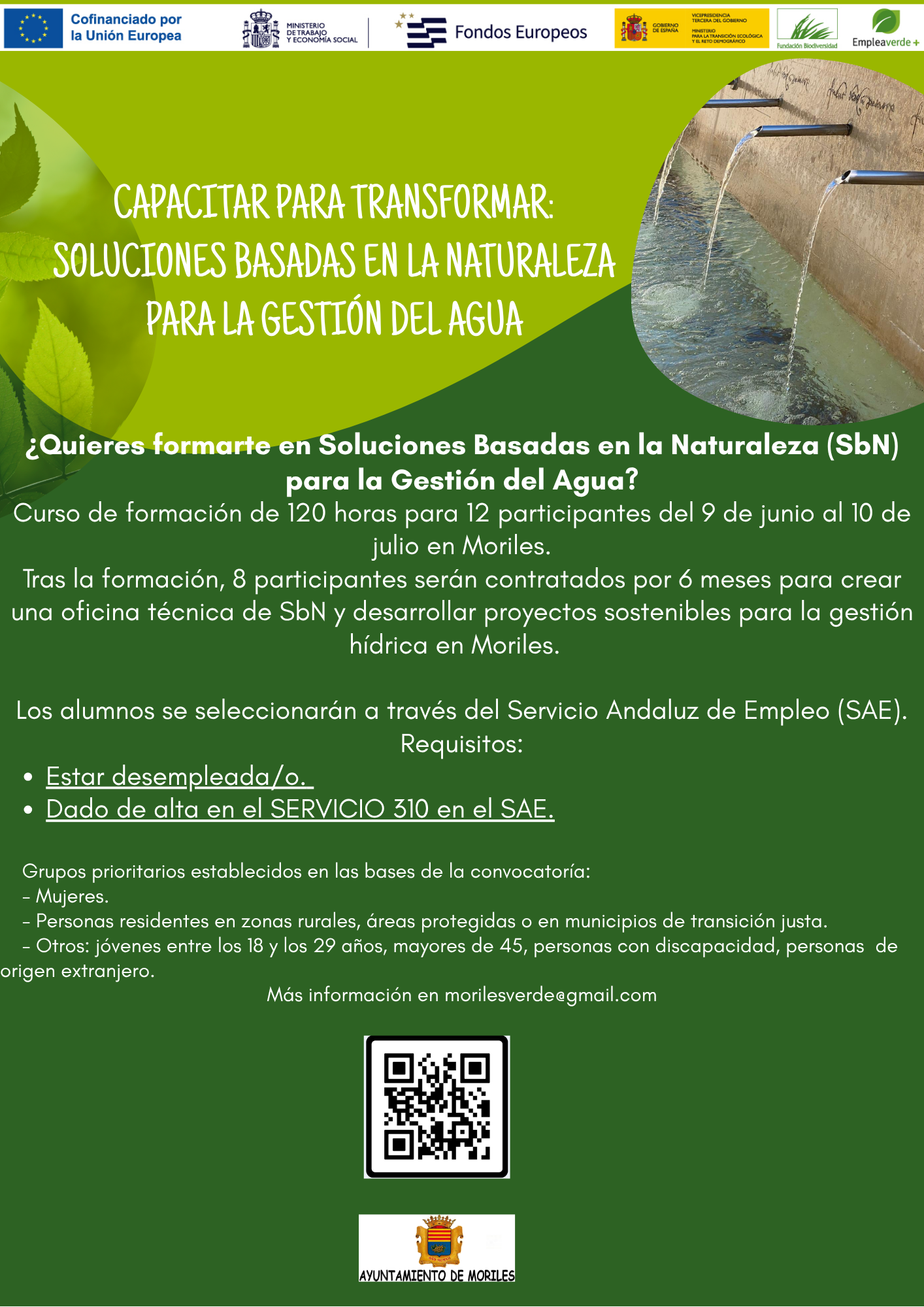 Ecomoriles
